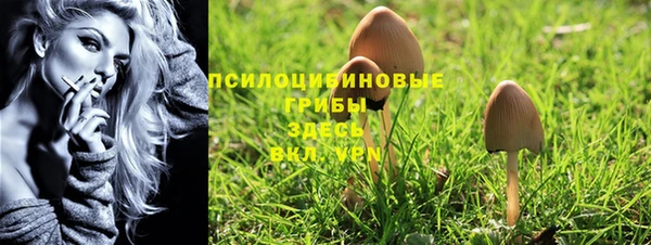 амф Строитель