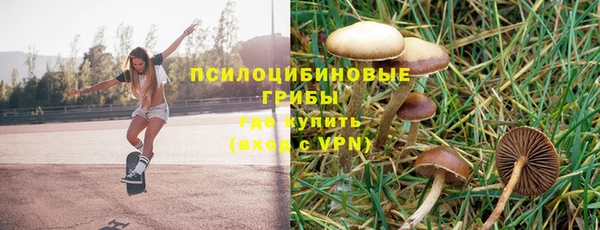 мет Алексеевка
