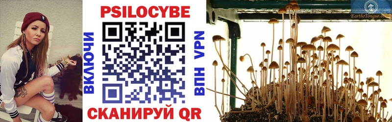 Галлюциногенные грибы MAGIC MUSHROOMS  купить  цена  Алупка 